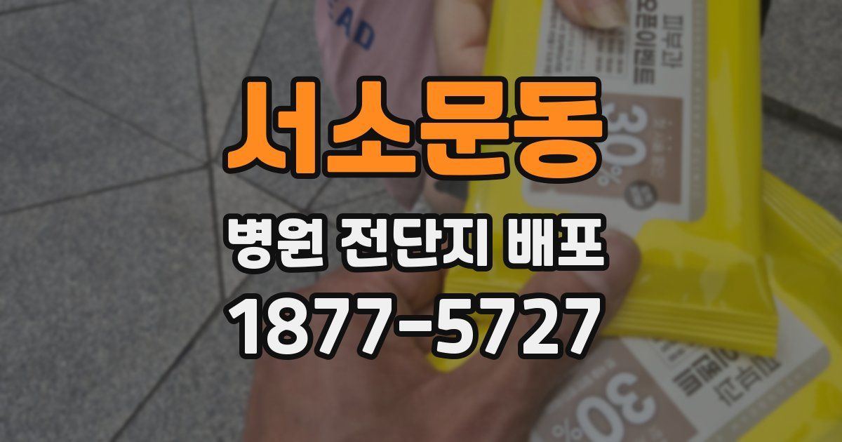서소문동 병원 전단지 배포