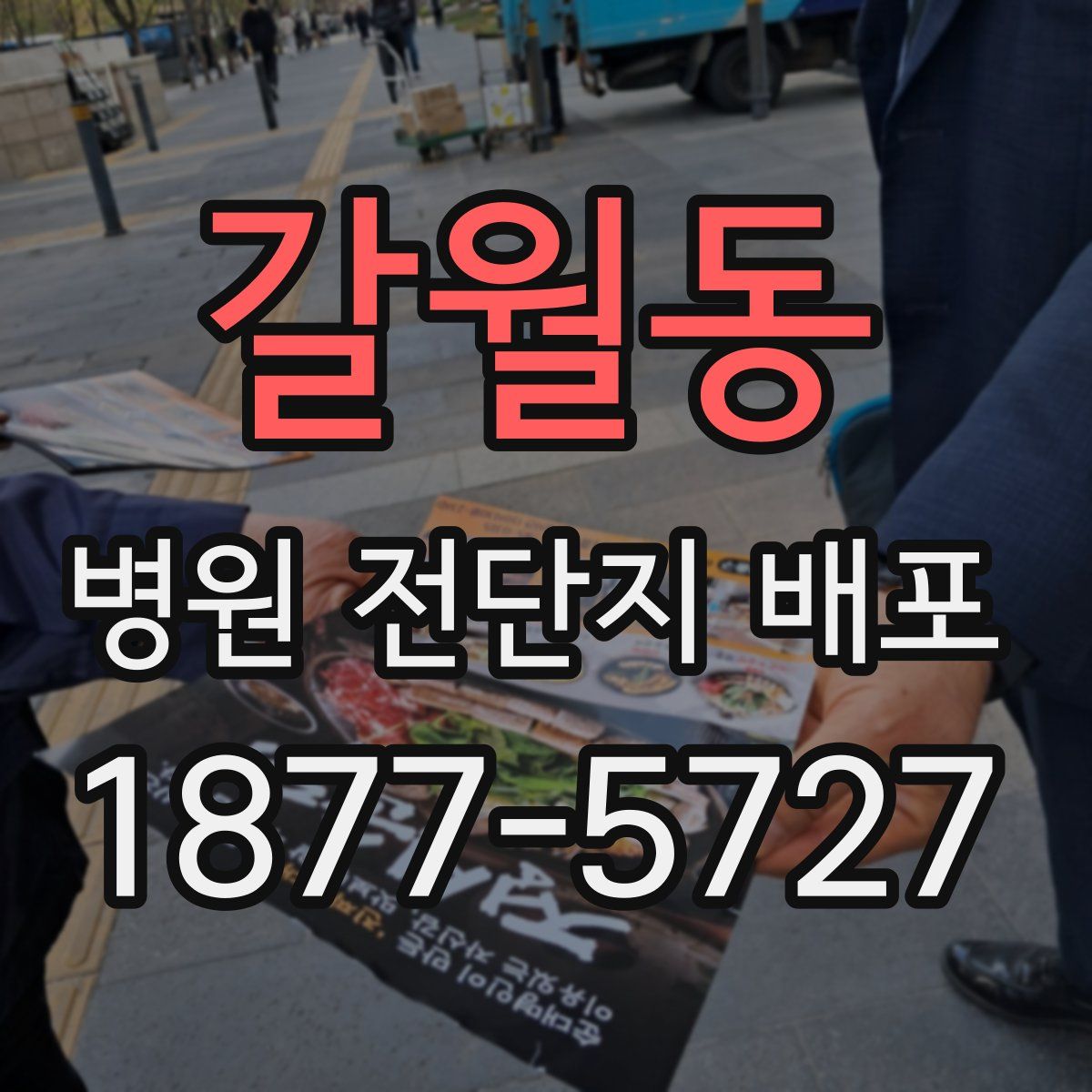 갈월동 병원 전단지 배포