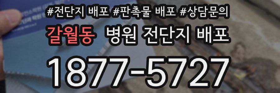 갈월동 병원 전단지 배포