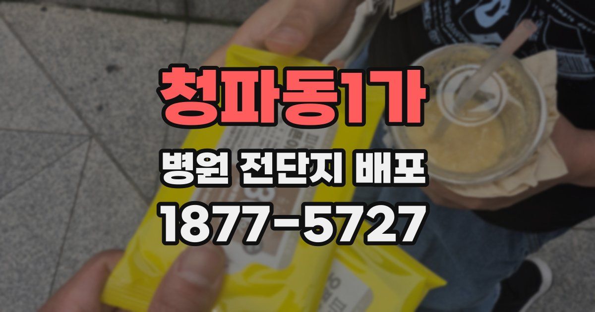 청파동1가 병원 전단지 배포