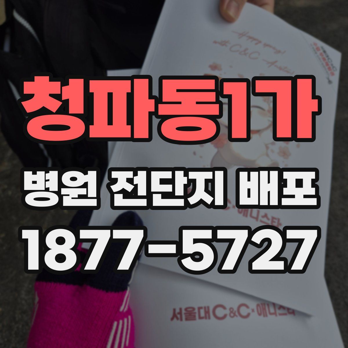청파동1가 병원 전단지 배포