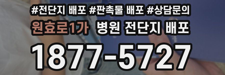 원효로1가 병원 전단지 배포