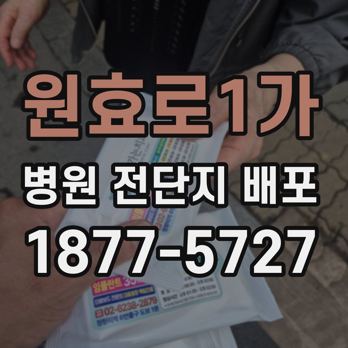 원효로1가 병원 전단지 배포