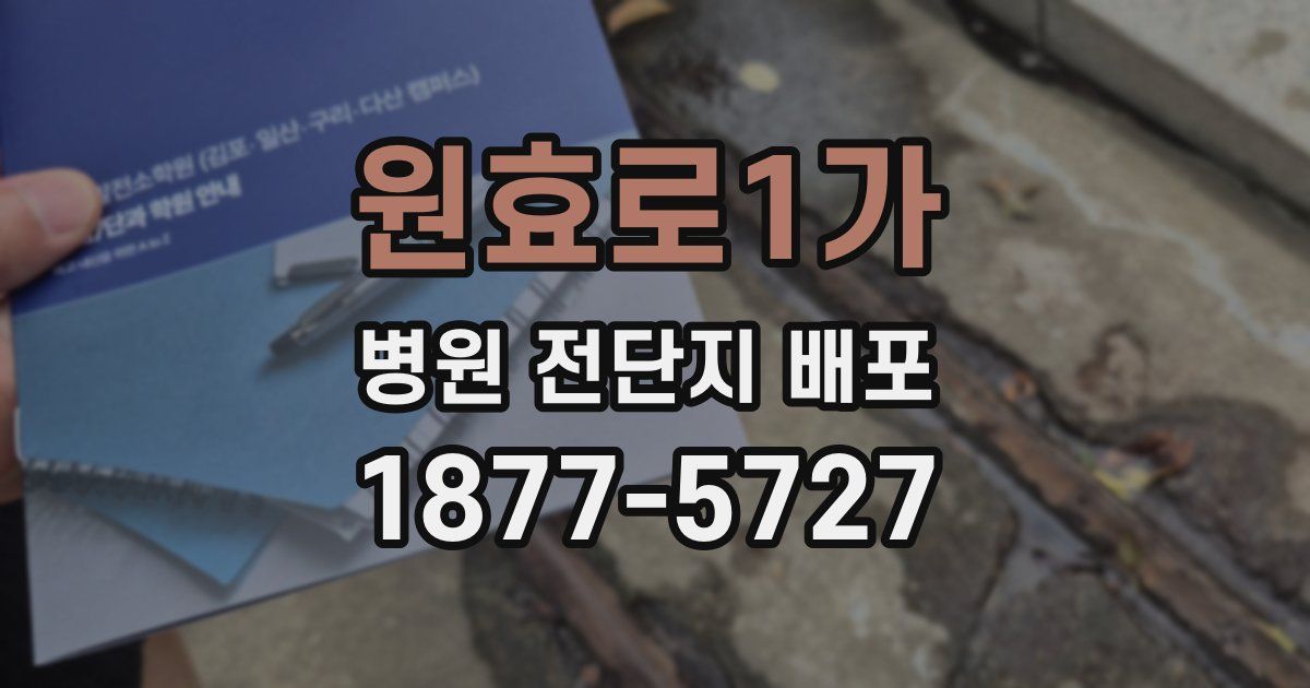 원효로1가 병원 전단지 배포