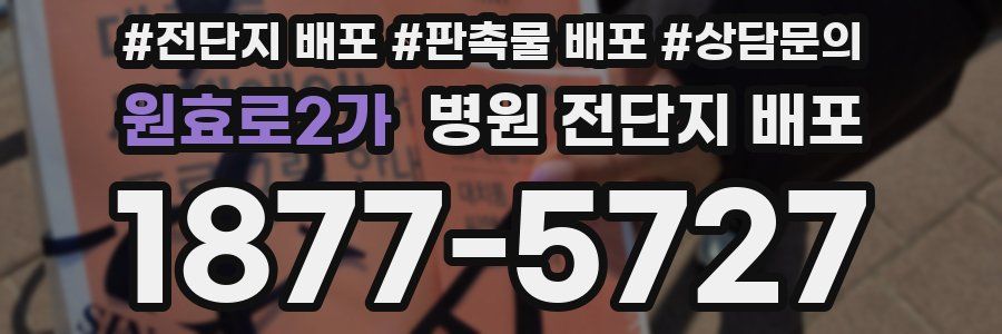 원효로2가 병원 전단지 배포