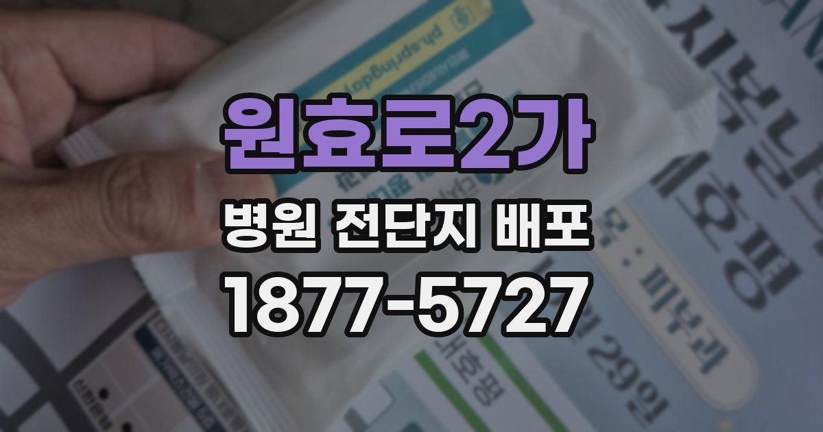원효로2가 병원 전단지 배포
