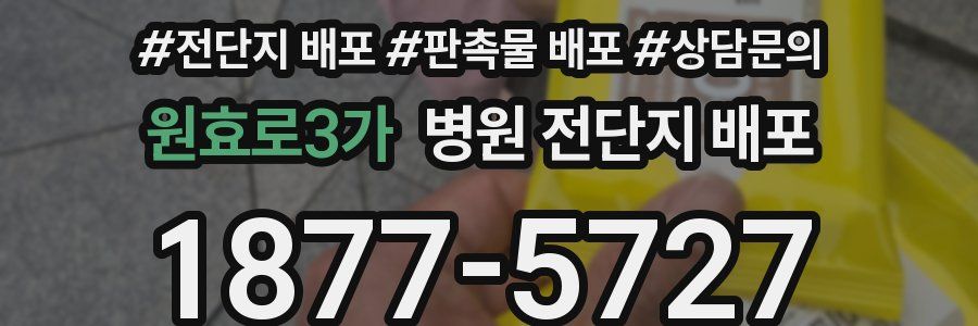 원효로3가 병원 전단지 배포