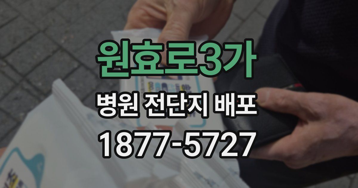원효로3가 병원 전단지 배포