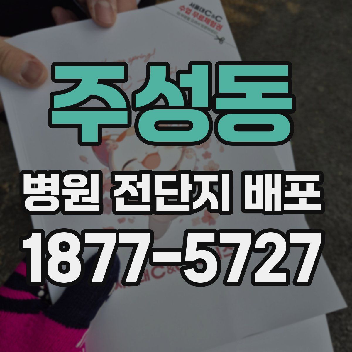 주성동 병원 전단지 배포