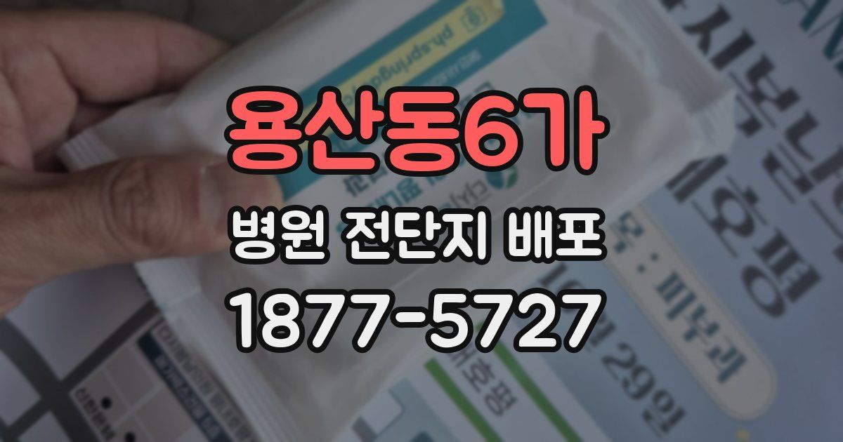 용산동6가 병원 전단지 배포