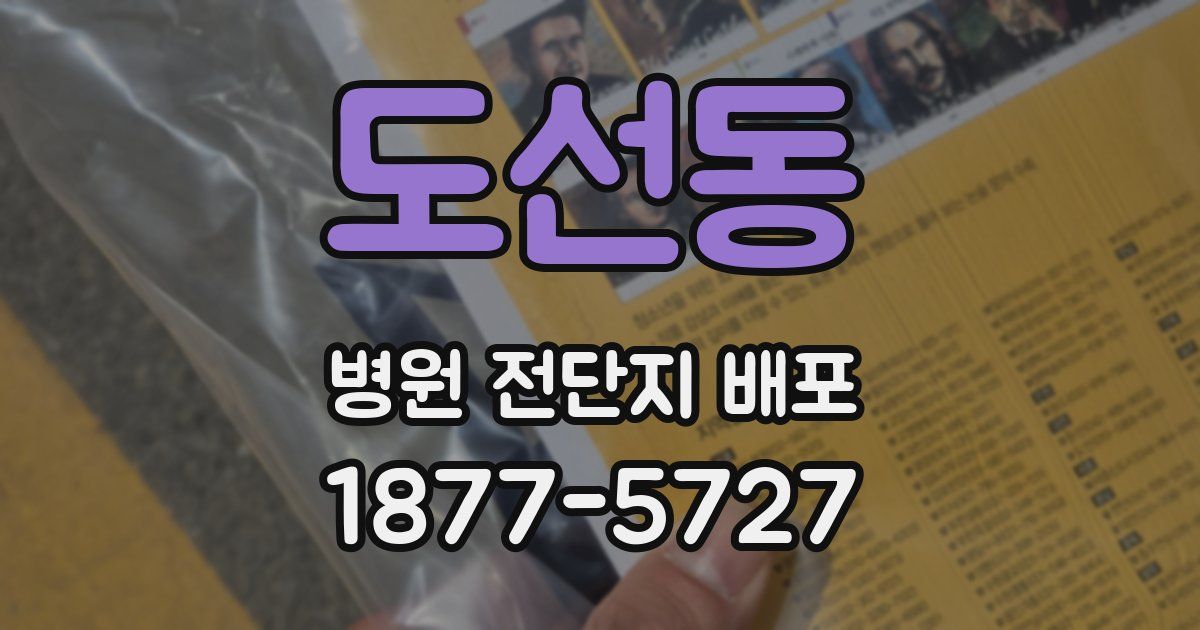 도선동 병원 전단지 배포