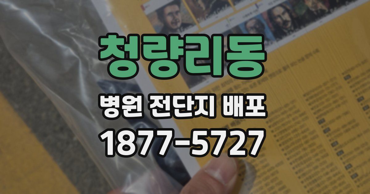 청량리동 병원 전단지 배포
