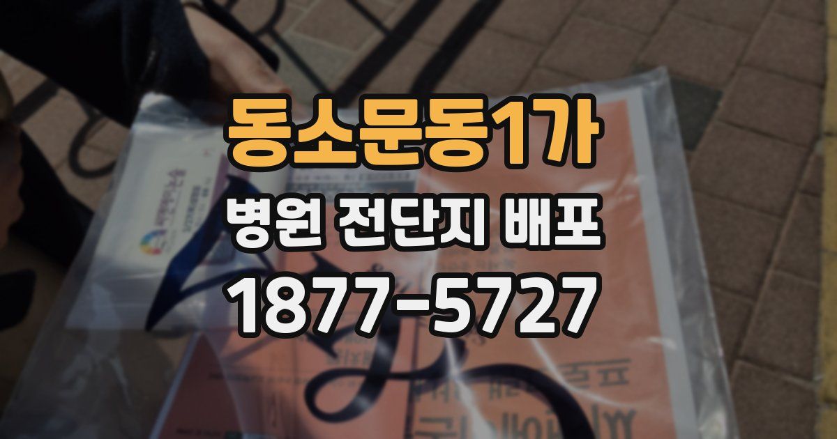 동소문동1가 병원 전단지 배포