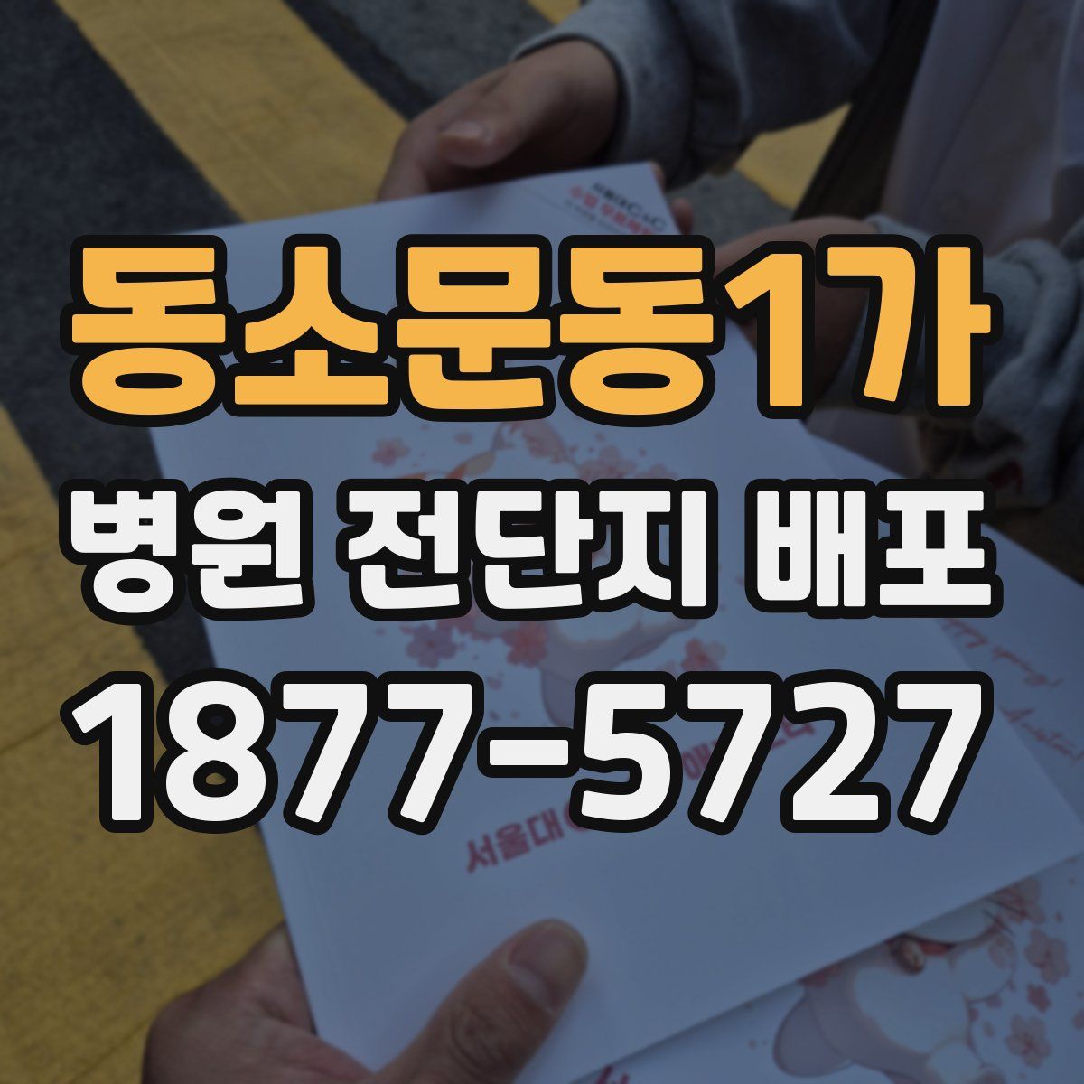동소문동1가 병원 전단지 배포