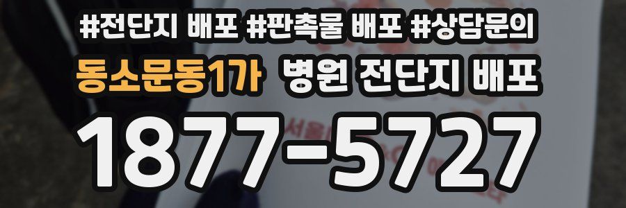 동소문동1가 병원 전단지 배포