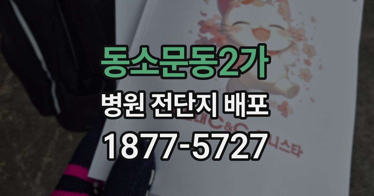 동소문동2가 병원 전단지 배포