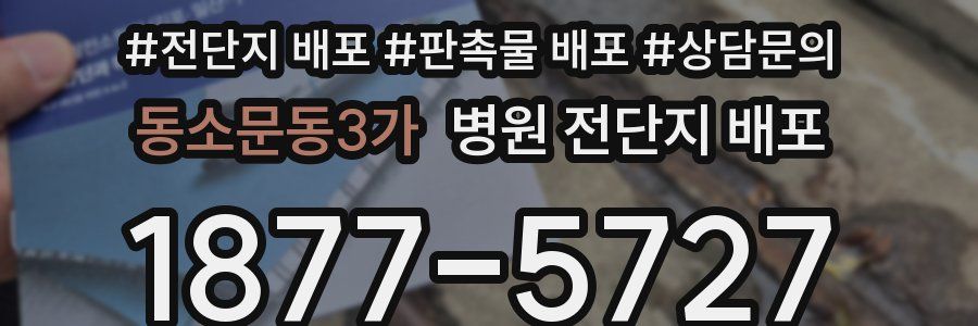 동소문동3가 병원 전단지 배포