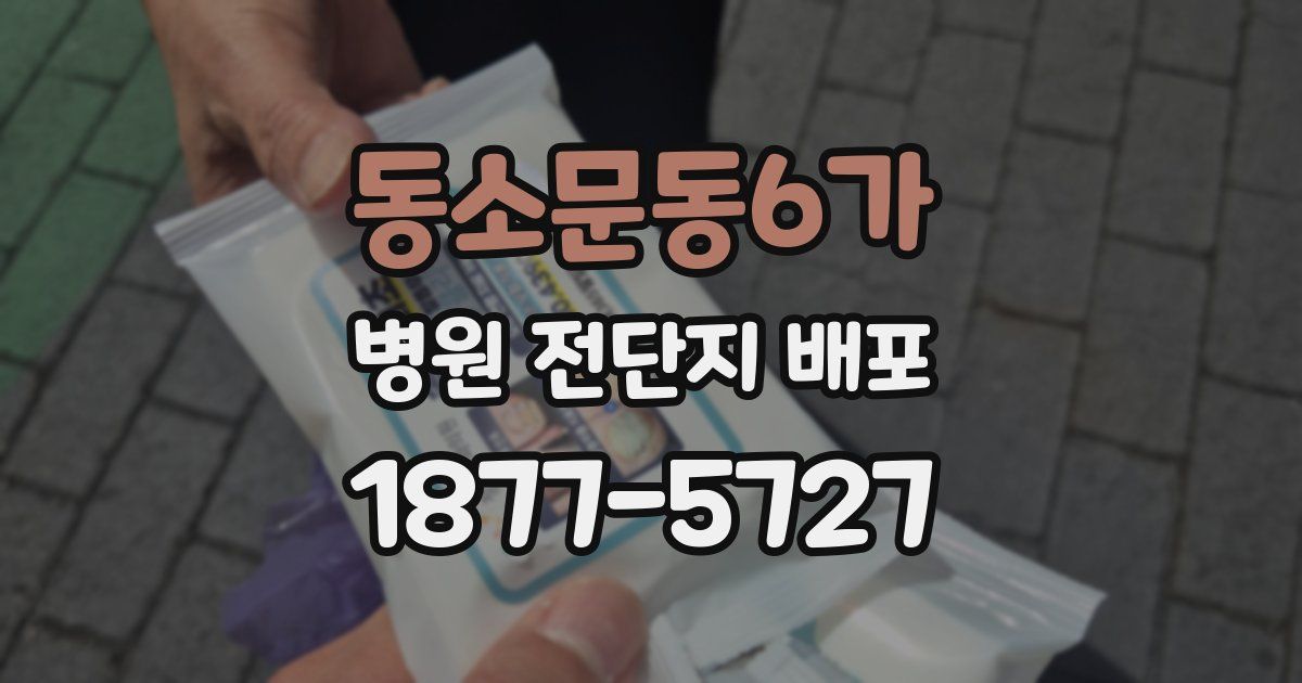 동소문동6가 병원 전단지 배포