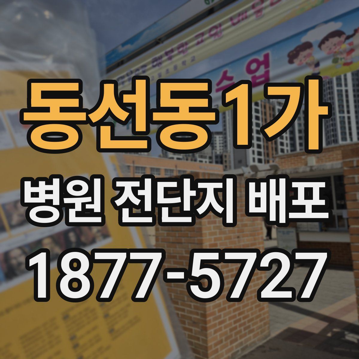 동선동1가 병원 전단지 배포