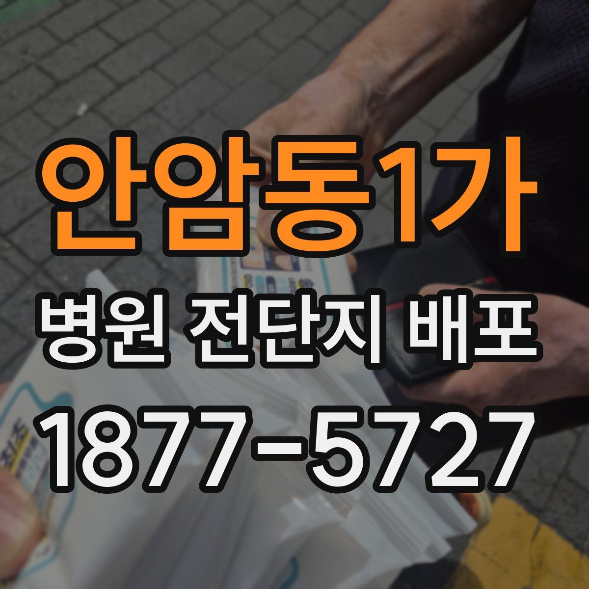 안암동1가 병원 전단지 배포