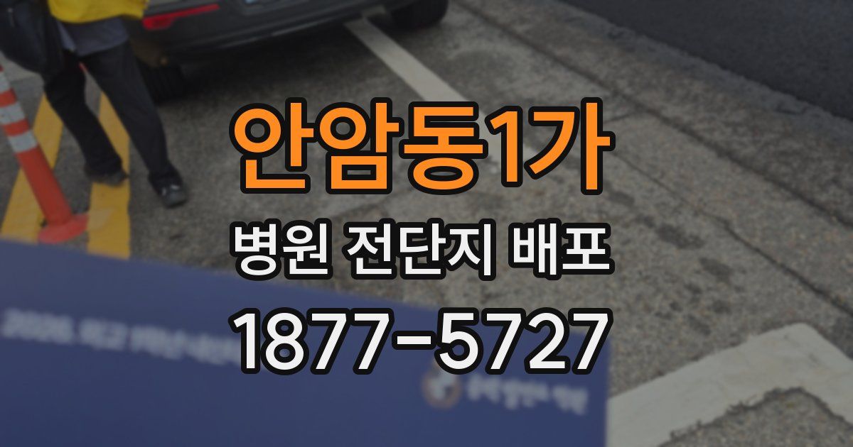 안암동1가 병원 전단지 배포