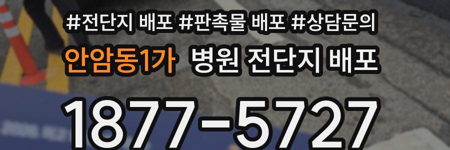 안암동1가 병원 전단지 배포