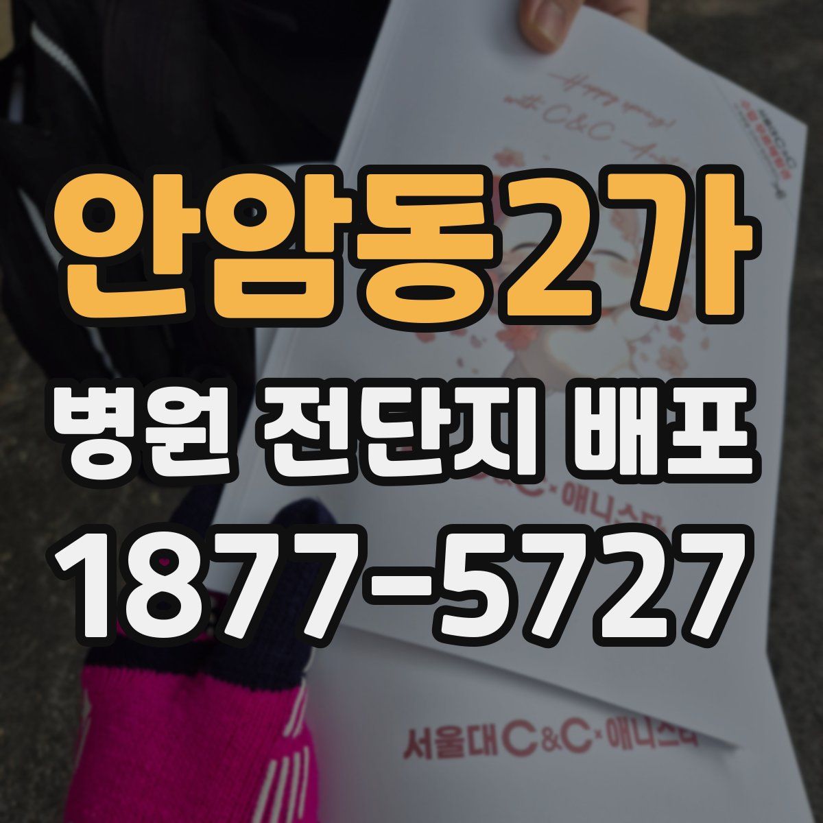 안암동2가 병원 전단지 배포