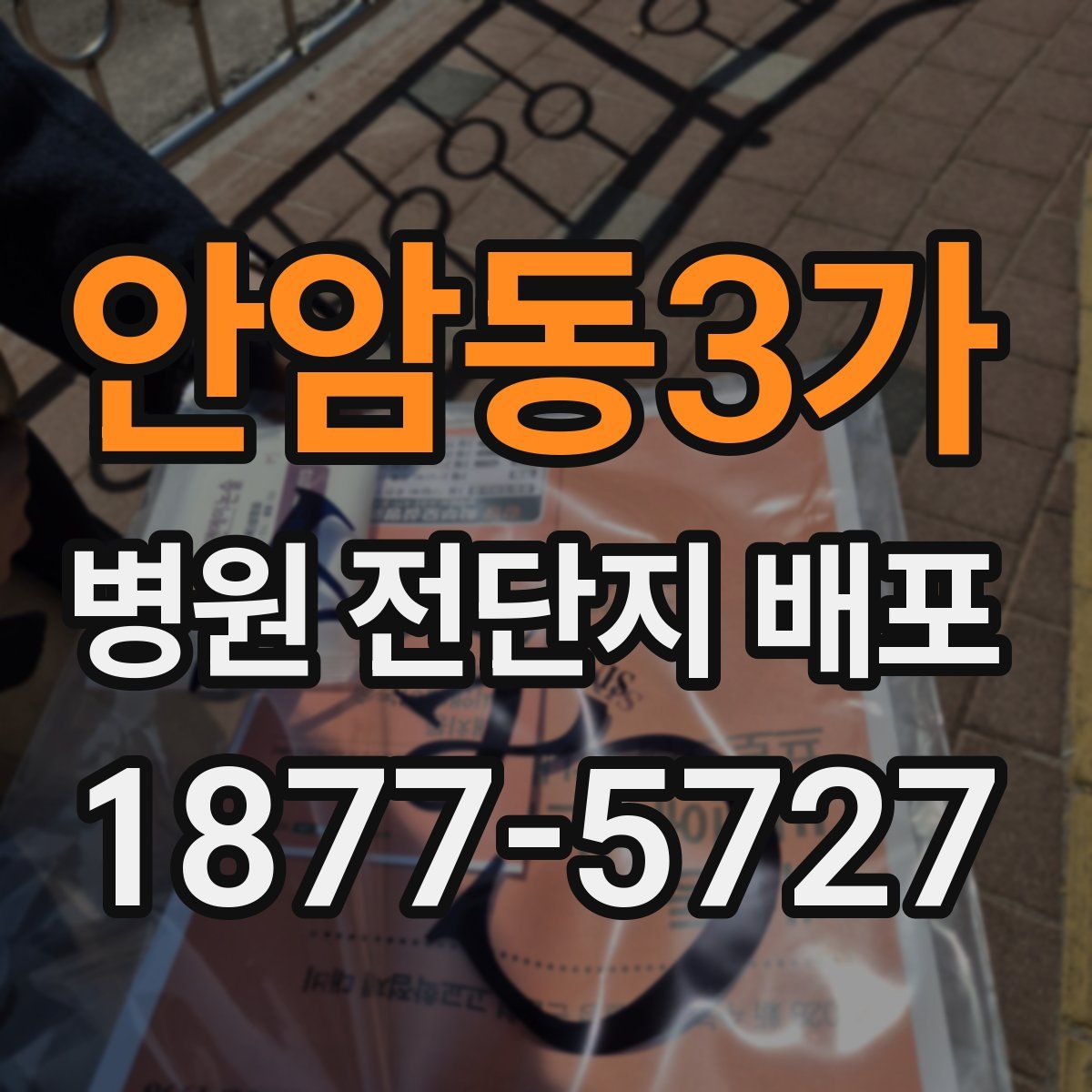 안암동3가 병원 전단지 배포