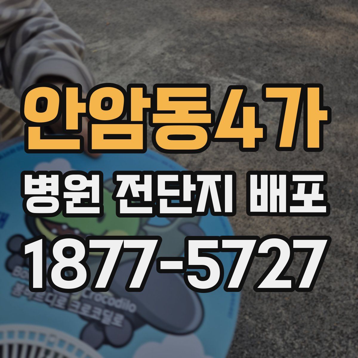 안암동4가 병원 전단지 배포