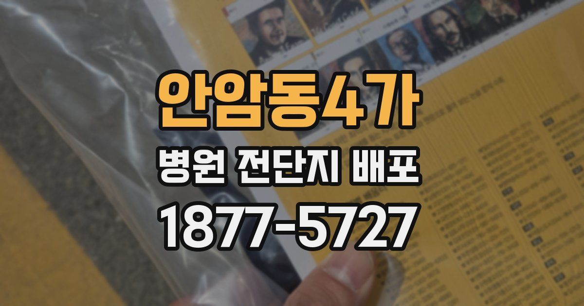 안암동4가 병원 전단지 배포