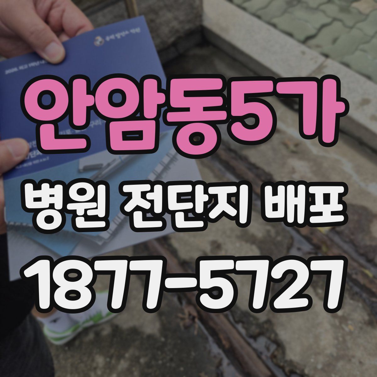 안암동5가 병원 전단지 배포