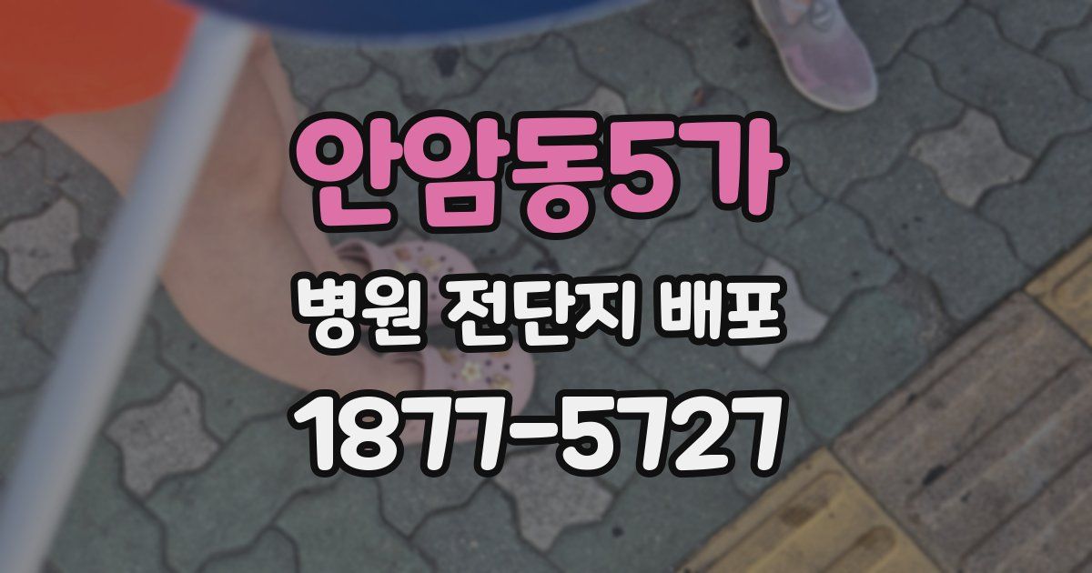 안암동5가 병원 전단지 배포