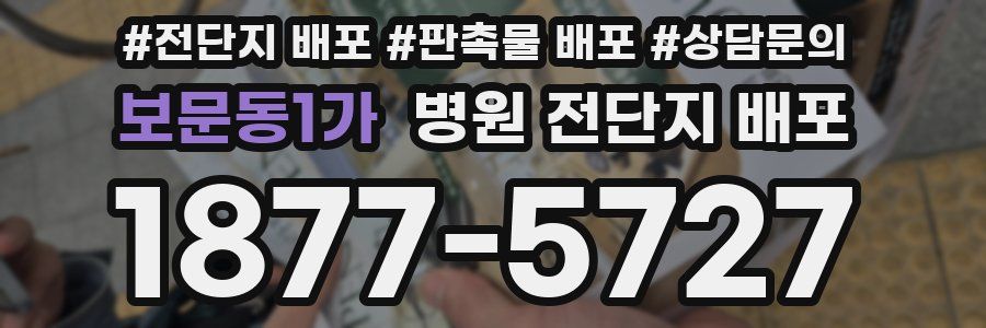보문동1가 병원 전단지 배포
