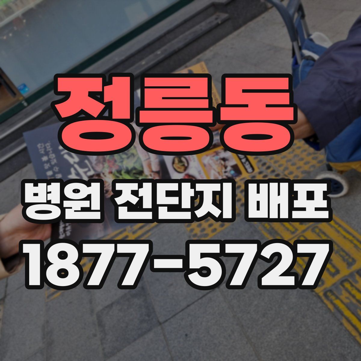 정릉동 병원 전단지 배포
