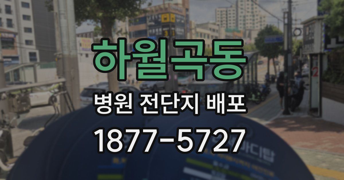 하월곡동 병원 전단지 배포