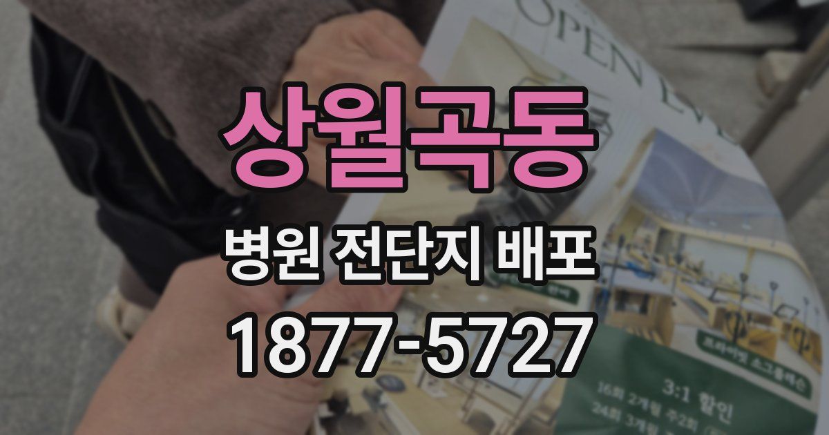 상월곡동 병원 전단지 배포