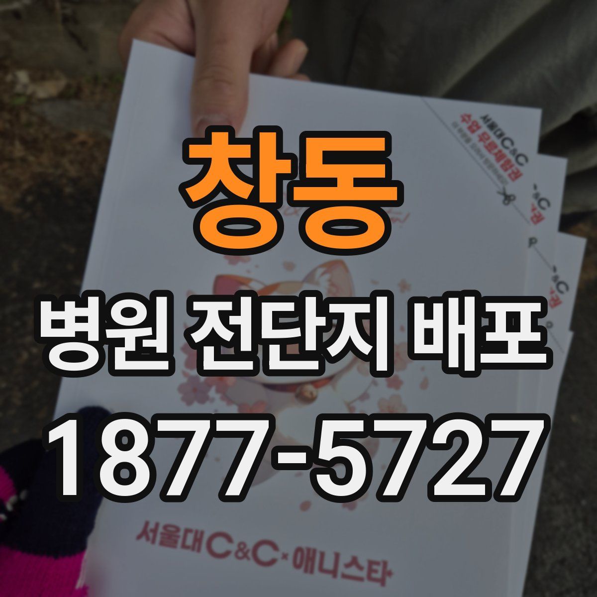 창동 병원 전단지 배포