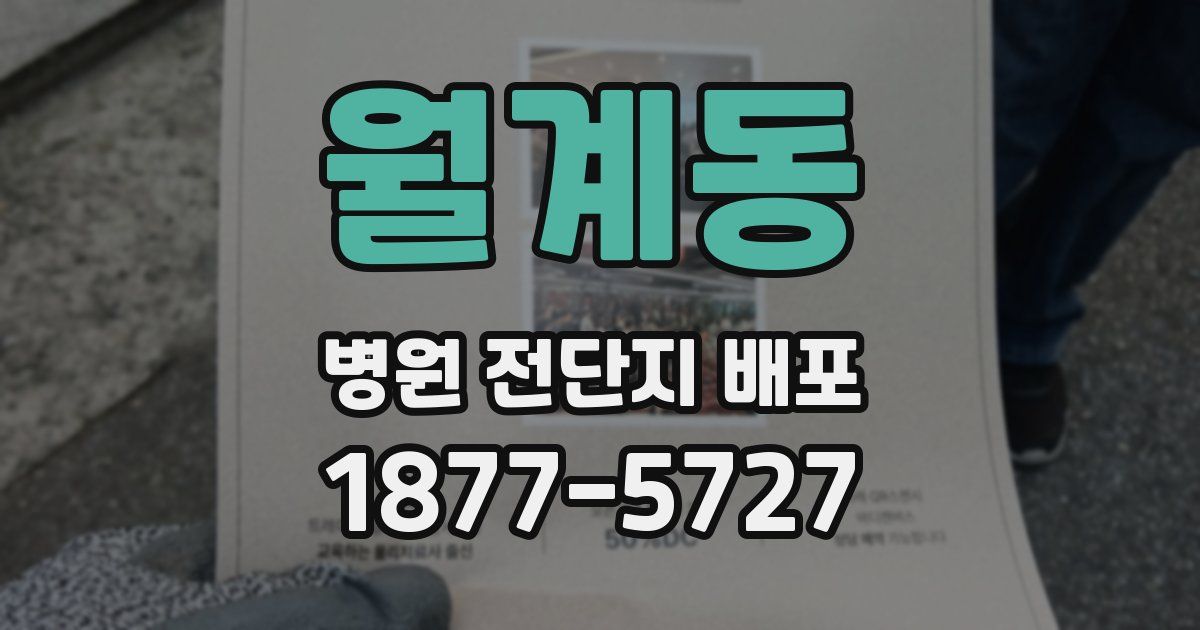 월계동 병원 전단지 배포