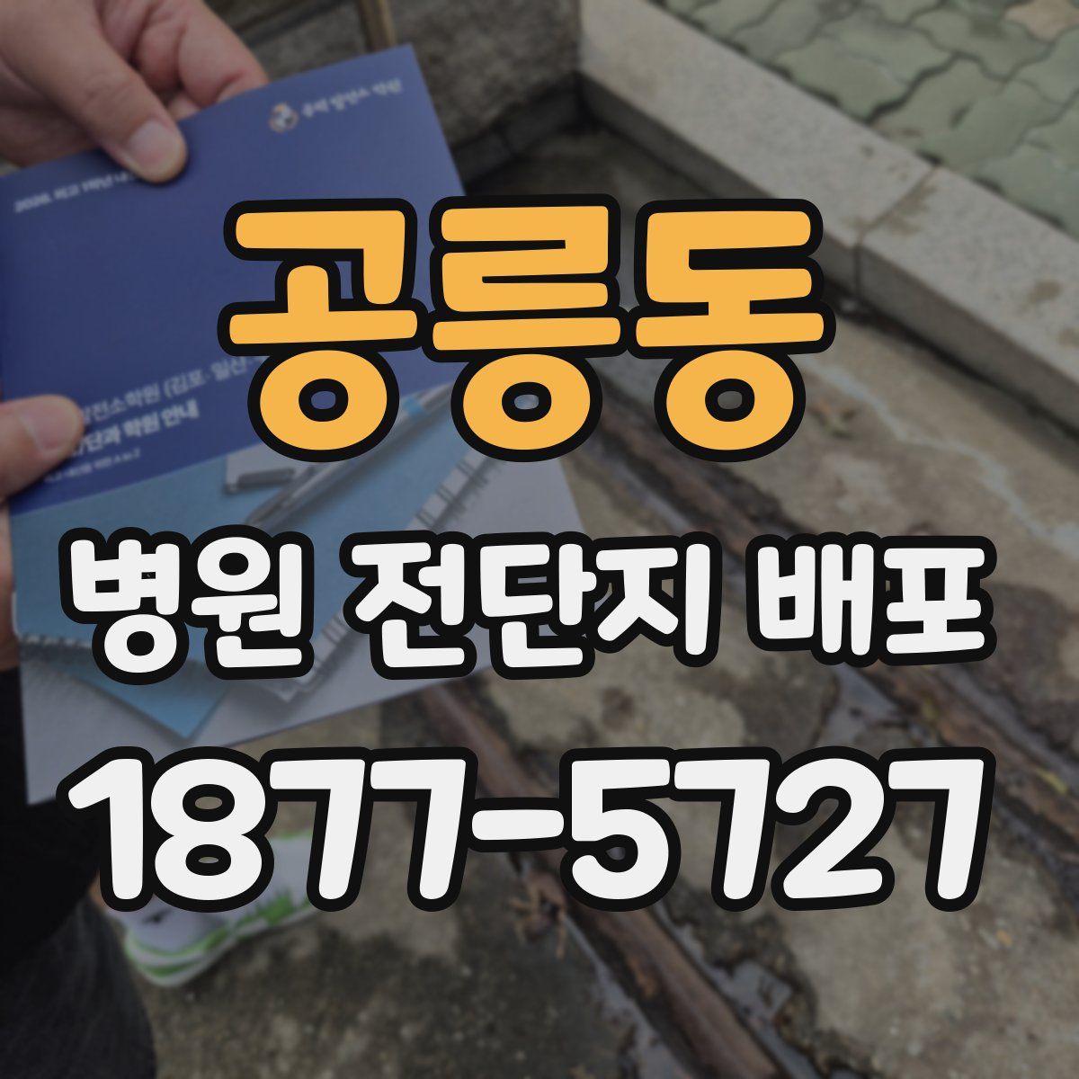 공릉동 병원 전단지 배포
