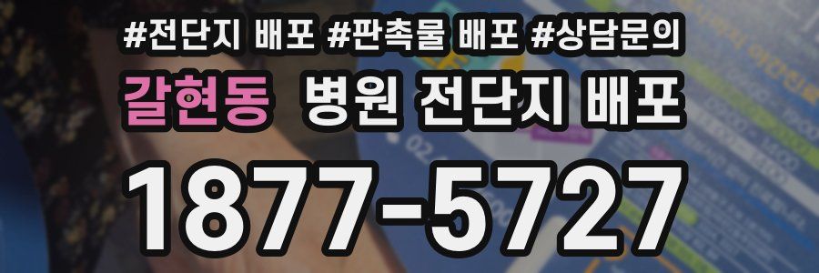 갈현동 병원 전단지 배포