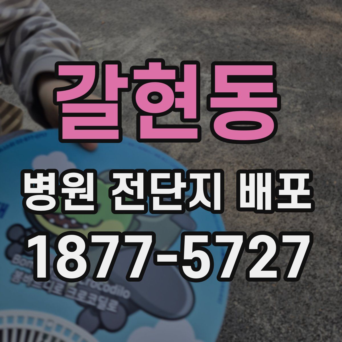 갈현동 병원 전단지 배포