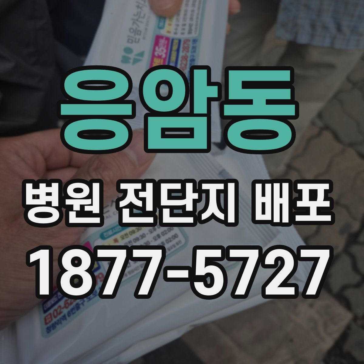 응암동 병원 전단지 배포