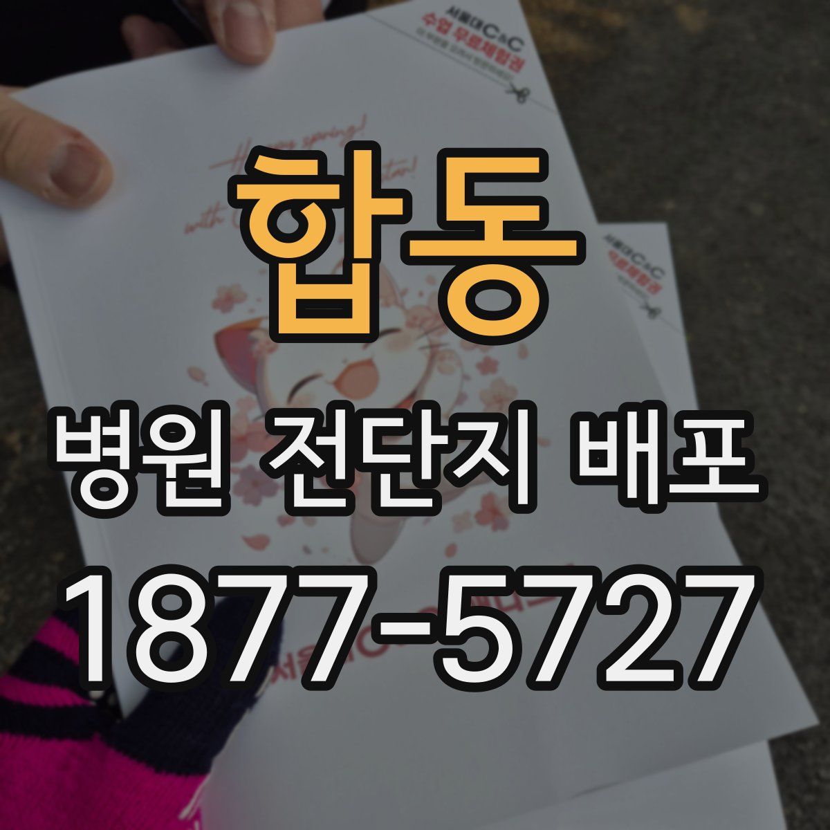 합동 병원 전단지 배포