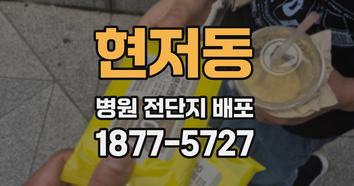 현저동 병원 전단지 배포
