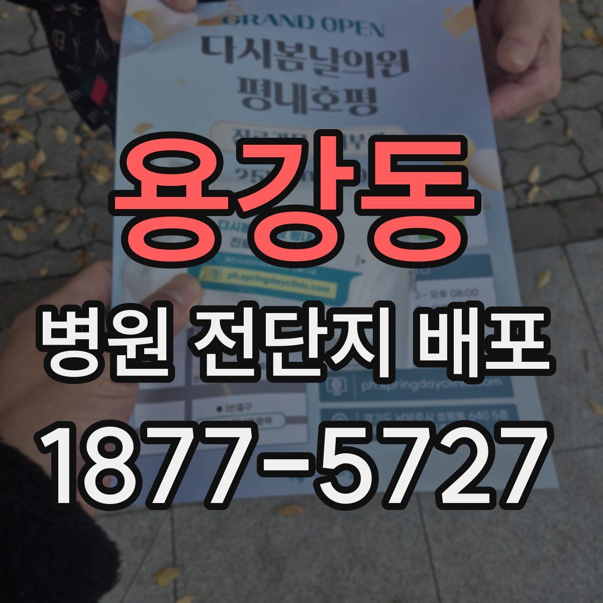 용강동 병원 전단지 배포