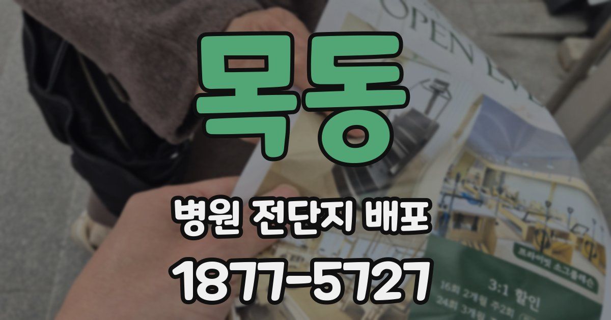 목동 병원 전단지 배포