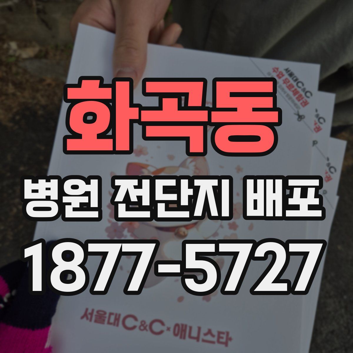 화곡동 병원 전단지 배포