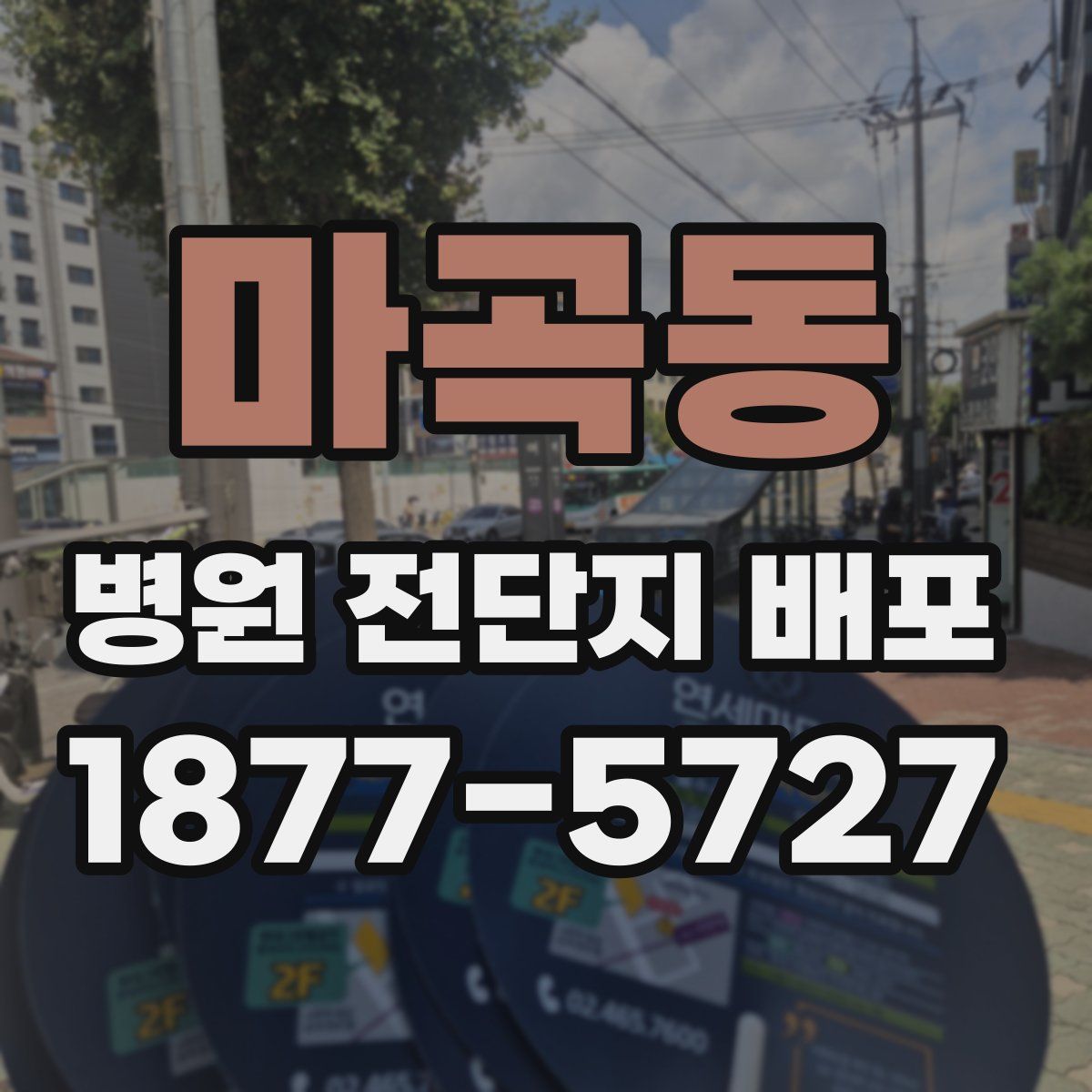 마곡동 병원 전단지 배포
