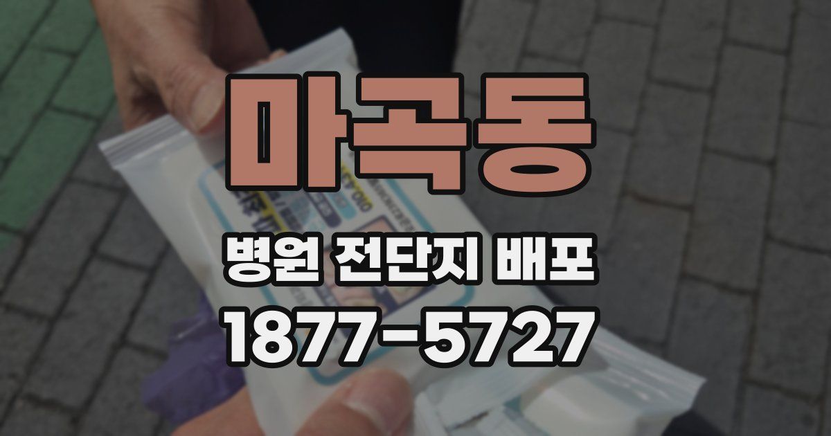 마곡동 병원 전단지 배포