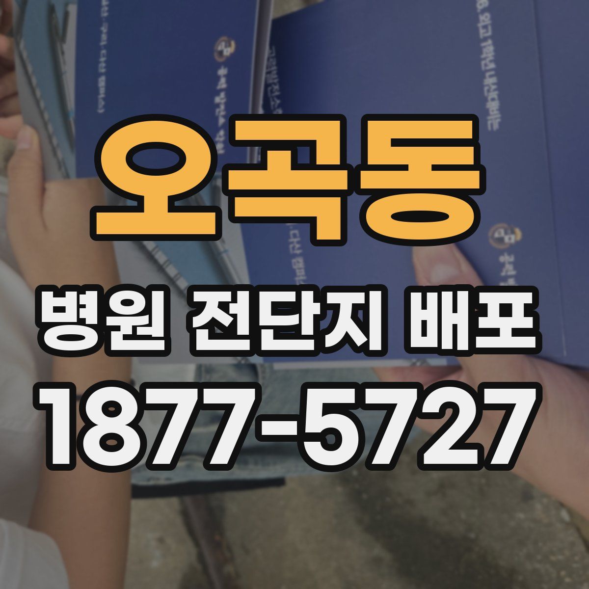 오곡동 병원 전단지 배포